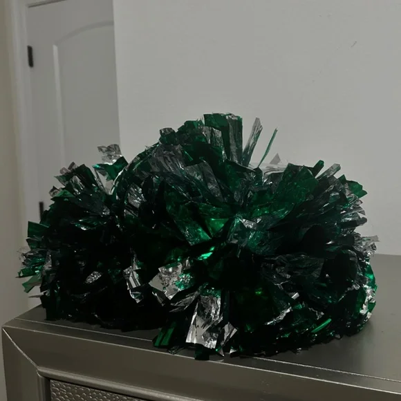 CheerLeader - Picture 2 of 3